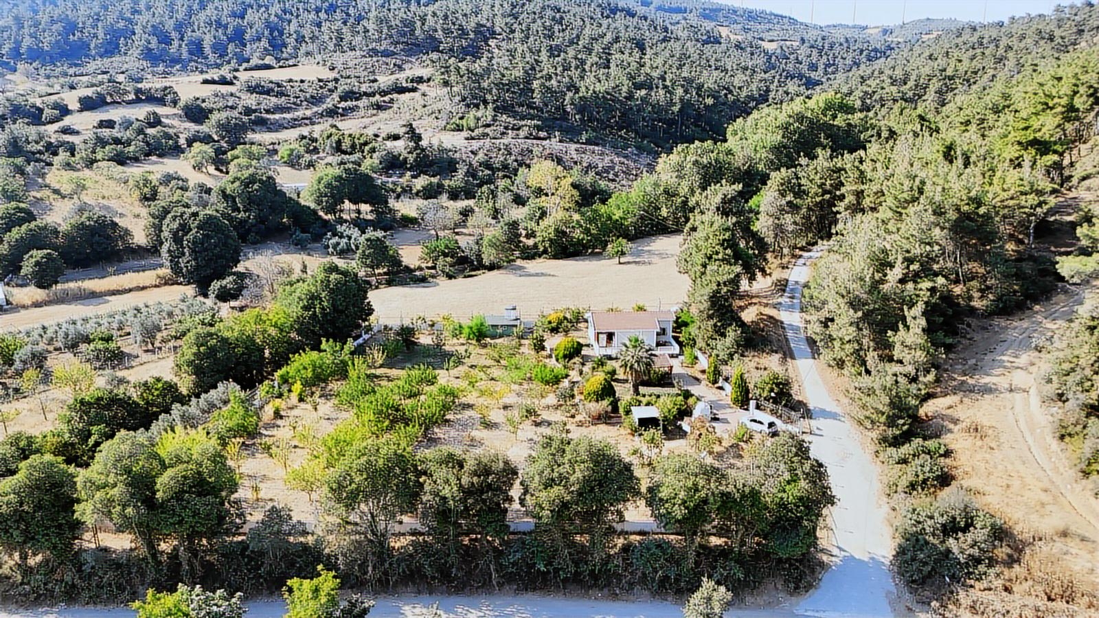 ccb163776550b707d909b14a48e40b33af03606065b11c18441925d360155c452c17576c0b58bf278903e6c75864a407